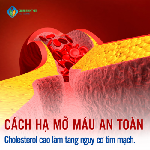 Cholesterol Cao: Mối Nguy Thầm Lặng Và Hướng Dẫn Toàn Diện Giúp Trái Tim Khỏe Mạnh