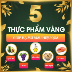 5 Thực Phẩm Vàng Giúp Hạ Mỡ Máu Hiệu Quả: Cẩm Nang Dinh Dưỡng Toàn Diện Cho Người Bệnh Mỡ Máu Cao