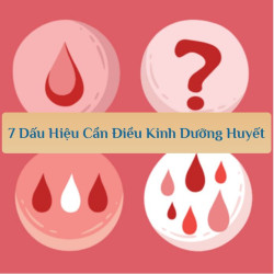 7 Dấu hiệu cơ thể “kêu cứu”: Dược sĩ mách bạn khi nào cần dùng ngay điều kinh dưỡng huyết (phân tích khoa học dễ hiểu)