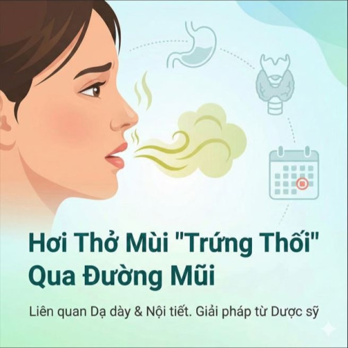 Phụ Nữ Bị Hơi Thở Mùi Trứng Thối: Cảnh Báo Bệnh Dạ Dày Và Tuyến Giáp
