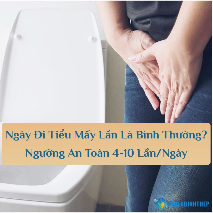 Ngày Đi Tiểu Mấy Lần Là Bình Thường? Ngưỡng An Toàn 4-10 Lần/Ngày