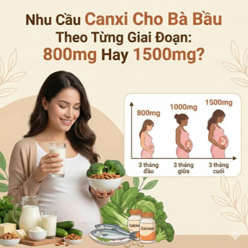 Nhu Cầu Canxi Cho Bà Bầu Theo Từng Giai Đoạn: 800mg Hay 1500mg?