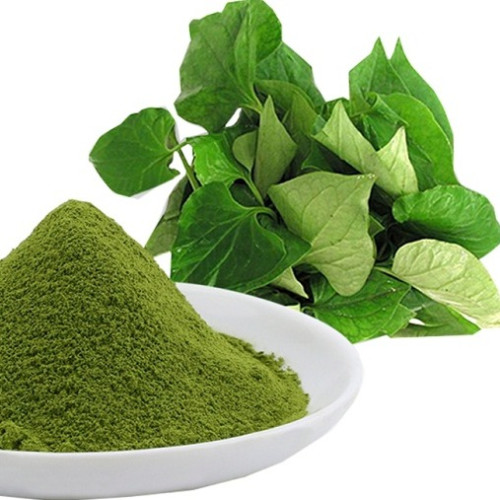 Rau Diếp Cá Trị Bệnh Trĩ: Ăn, Uống Hay Xông Hơi Tốt Hơn?