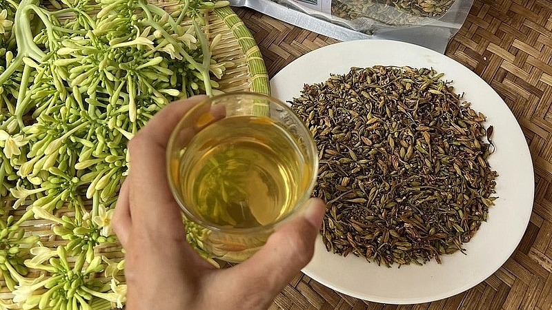 Ai không nên uống đu đủ đực