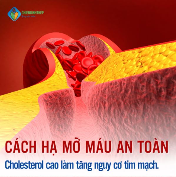 Cách hạ mỡ máu an toàn