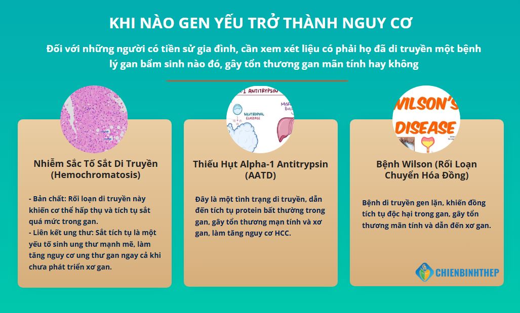 Khi Nào Gen Yếu Trở Thành Nguy Cơ