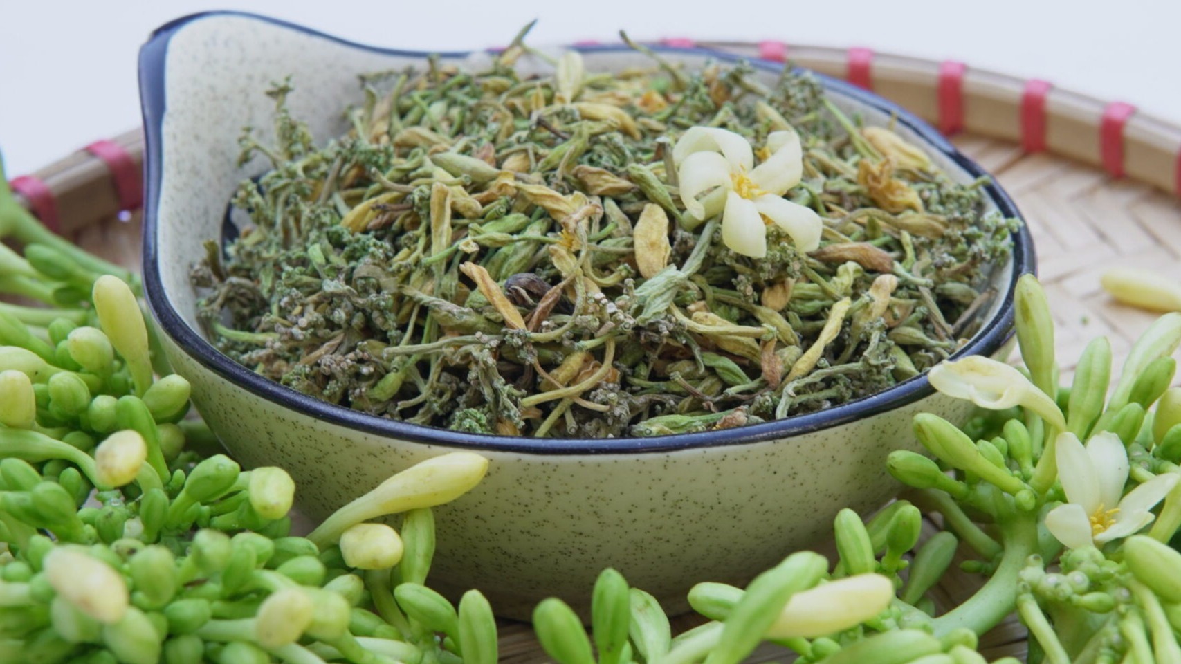 Uống hoa đu đực có chữa được ung thư không