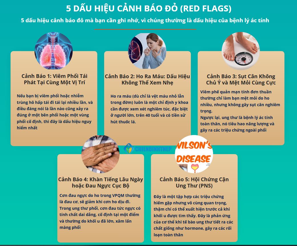 5 DẤU HIỆU CẢNH BÁO ĐỎ (RED FLAGS): NHỮNG ĐIỀU VPQM KHÔNG THỂ LÀM