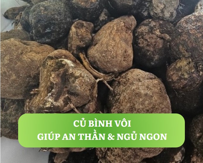 Củ bình vôi giúp an thần ngủ ngon