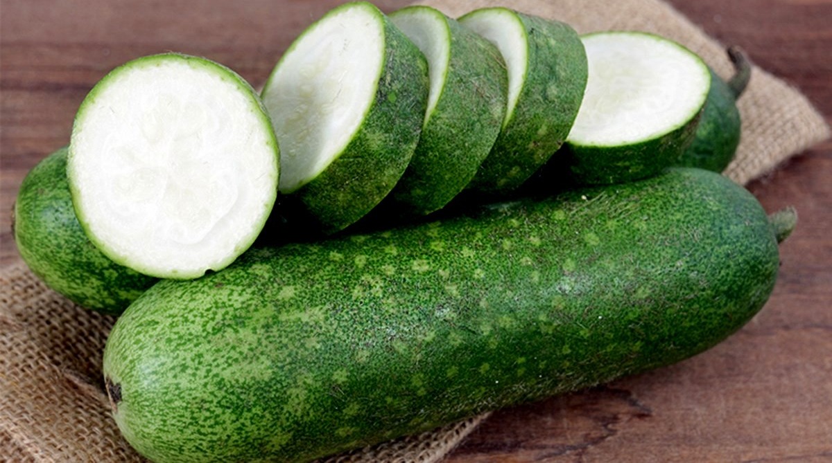 Bí đao có giảm cân không