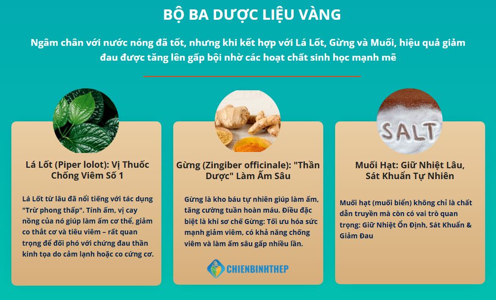 BỘ BA DƯỢC LIỆU VÀNG CHỮA ĐAU THẦN KINH TỌA