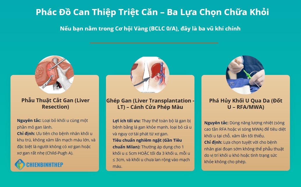 Các phương pháp điều trị triệt căn cho ung thư gan