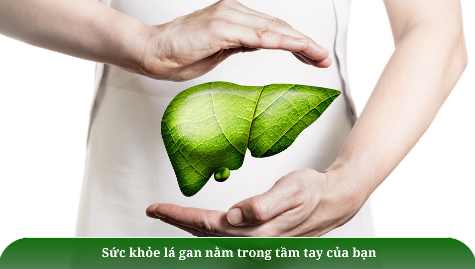 Công Thức Món Ăn Mát Gan Đơn Giản, Dễ Làm