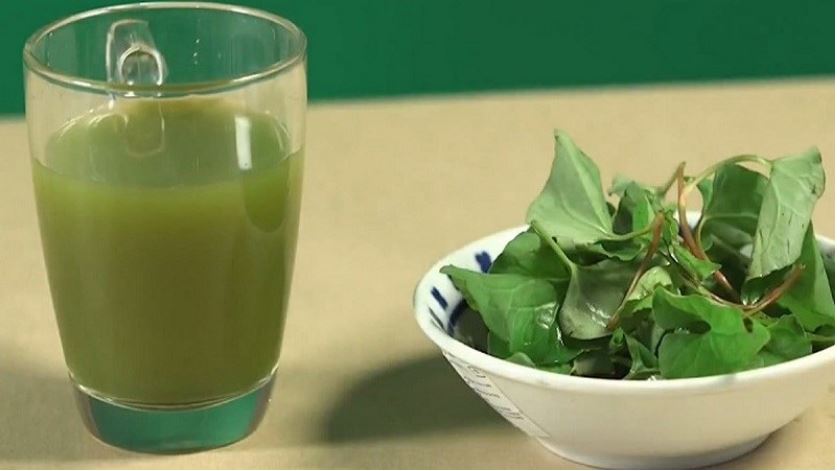 Cách dùng diếp cá