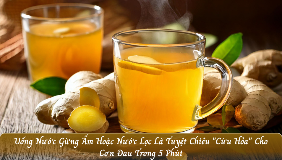 Uống Nước Gừng Ấm Hoặc Nước Lọc (Pha Loãng Nồng Độ Axit) – 1 Phút