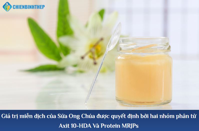 Giá trị dinh dưỡng của sữa ong chúa