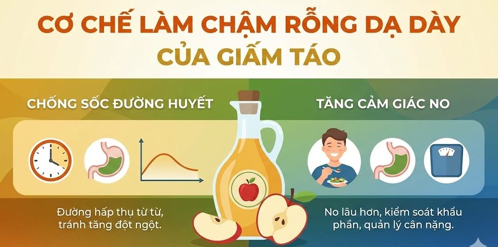 Giải mã khoa học giấm táo