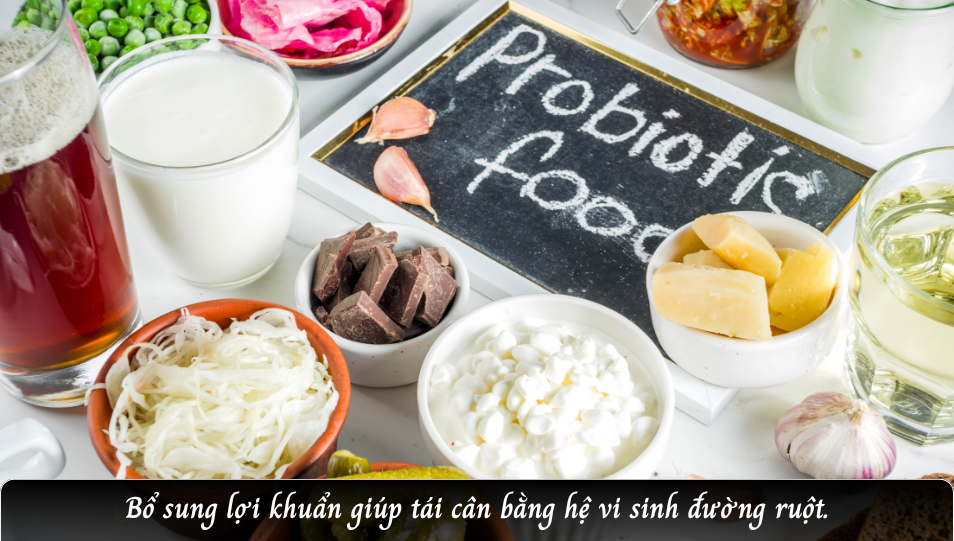 Bổ xung lợi khuẩn