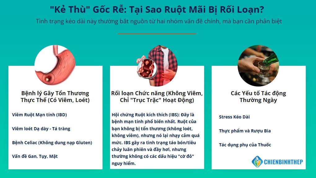 Nguyên nhân gây rối loạn tiêu hóa kéo dài
