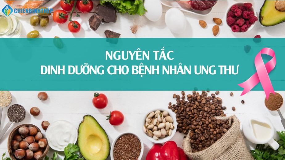 Nguyên tắc dinh dưỡng cho bệnh nhân ung thư