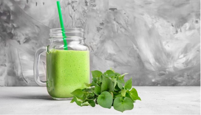 Nước ép diếp cá trị trĩ