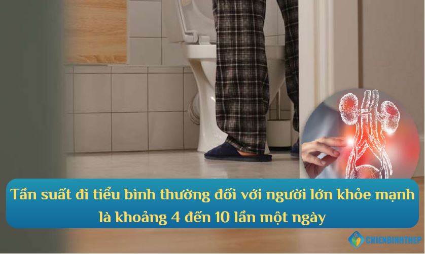 Tần xuất đi tiểu bình thường