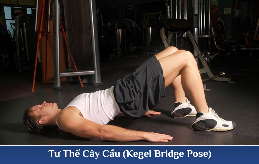 Tư thế cây cầu