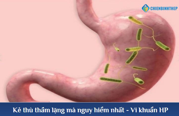 Vi khuẩn HP